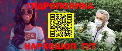 мдпв Партизанск