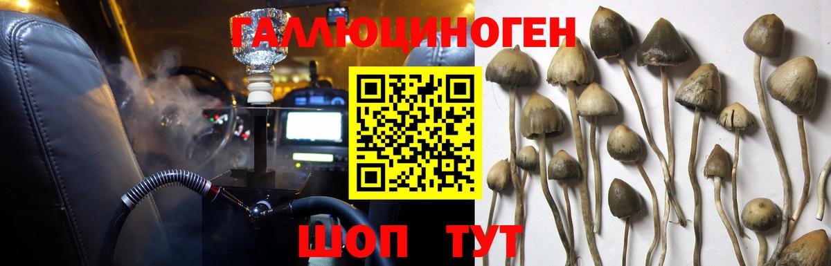 Галлюциногенные грибы ЛСД  Псилоцибиновые грибы Cubensis  Вход с VPN  Оренбург 